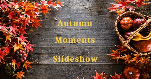 Autumn Slideshow - Celebrate Fall with a Cute Video