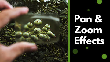 How to make a pan and zoom effect
