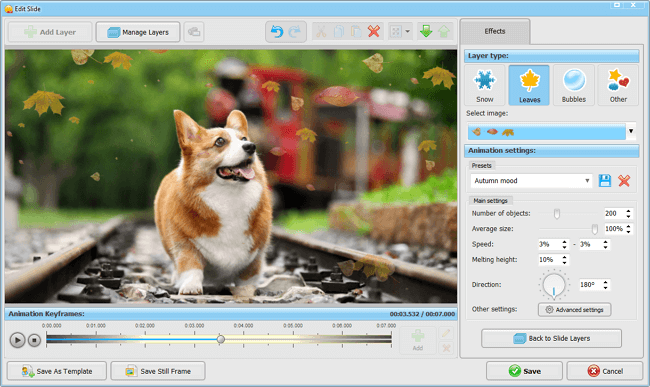 Make your dog slideshow a visual masterpiece with effects and transitions